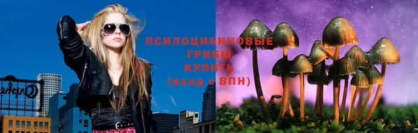 стафф Покровск
