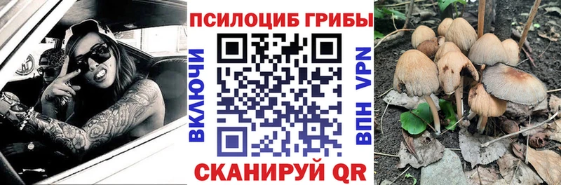 хочу наркоту Туймазы Галлюциногенные грибы прущие грибы