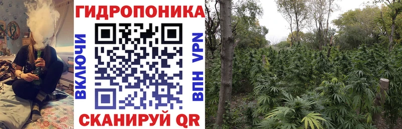 Шишки марихуана план  блэк спрут как зайти  Туймазы 